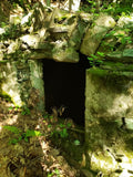 Moss-covered stone doorway of a ruin, opening onto darkness in a sunlit forest