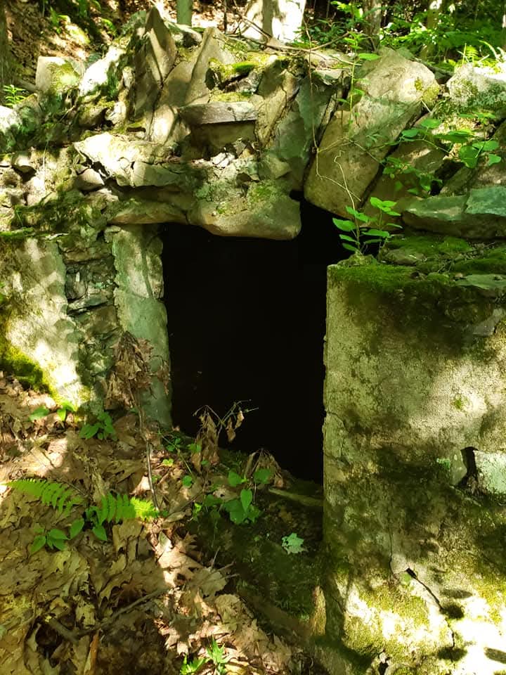 Moss-covered stone doorway of a ruin, opening onto darkness in a sunlit forest